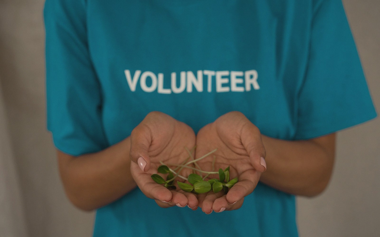 How to Choose a Charity You Can Trust